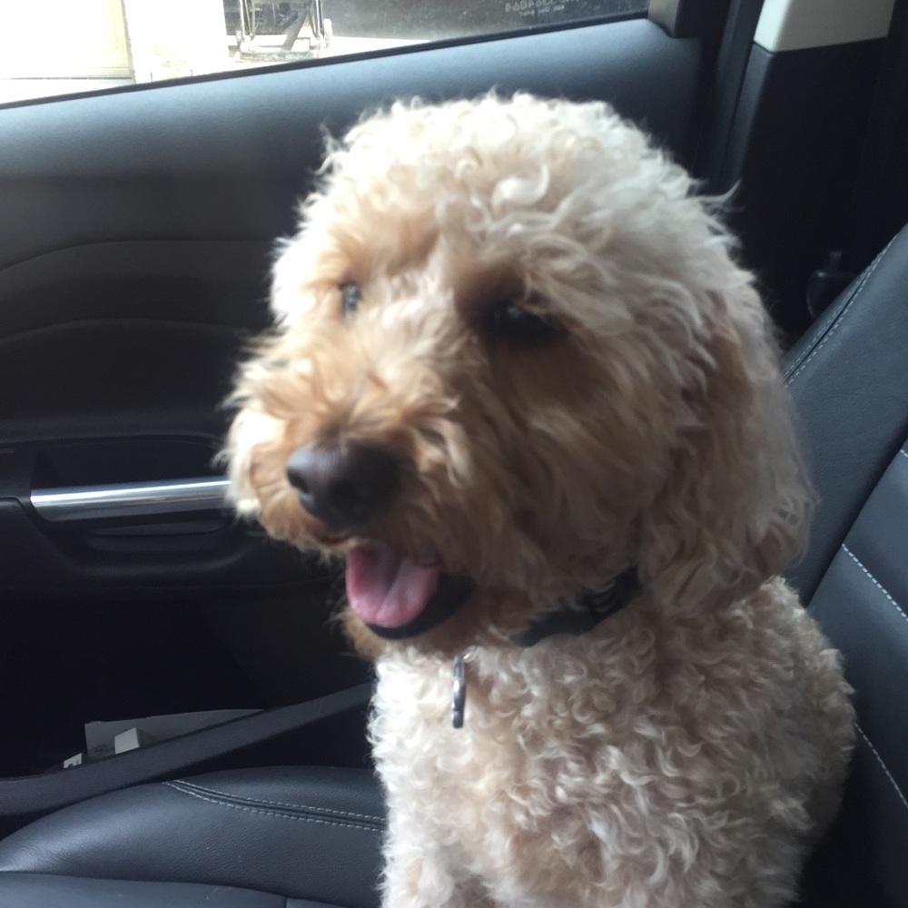 Meet your Posher, Myra